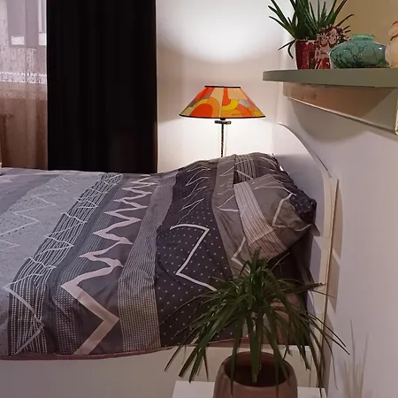 Our Nest In The Heart Of