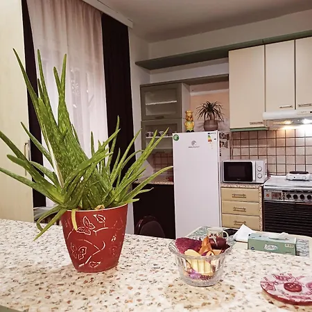 Our Nest In The Heart Of Apartment *