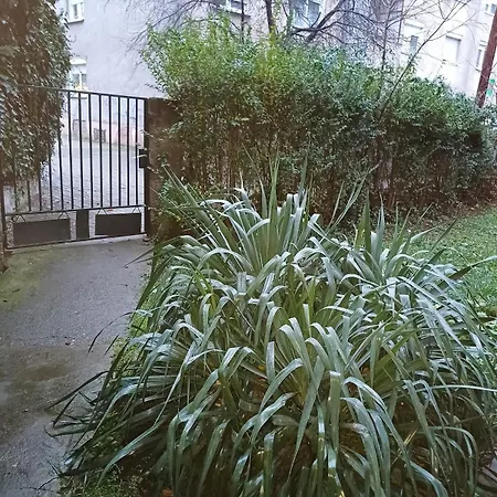 Our Nest In The Heart Of Apartment